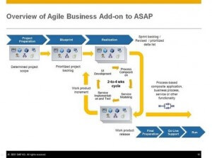 Overview of Agile Business Add-on to ASAP