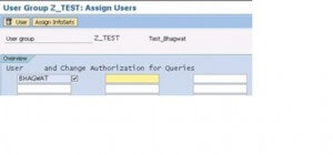 User Group Z_Test: Assign Users