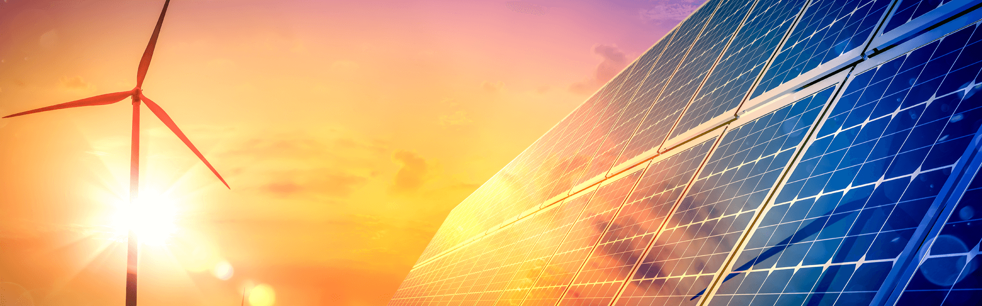 Transforming Human Resources Operations for a Global Solar Panel Manufacturer